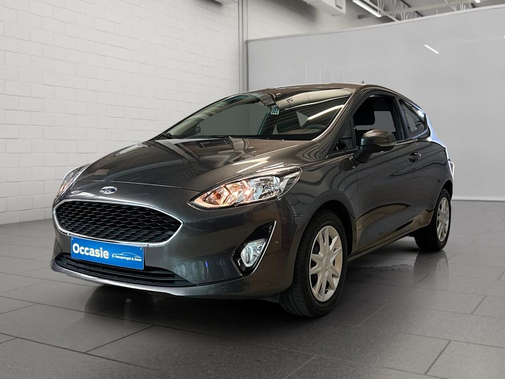 Ford Fiesta Fiesta 1.0 EcoBoost Business Class, Auto's, 0 kg, 0 kg, Zilver of Grijs, 998 cc