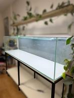 Aquarium 500l, Enlèvement, Comme neuf