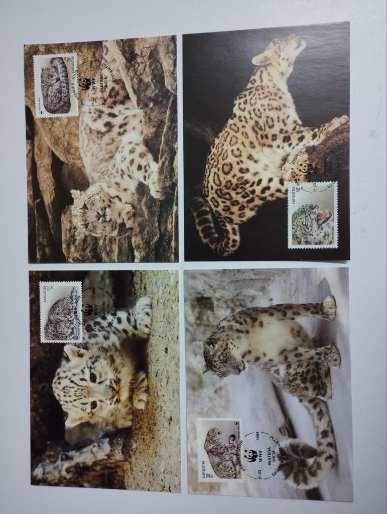 4 wwf postzegelkaarten over de wilde kat kleur verschillende, Collections, Cartes postales | Animaux, Enlèvement