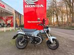 Honda ST125 Dax (année de construction 2023), Entreprise, 125 cm³, Autre