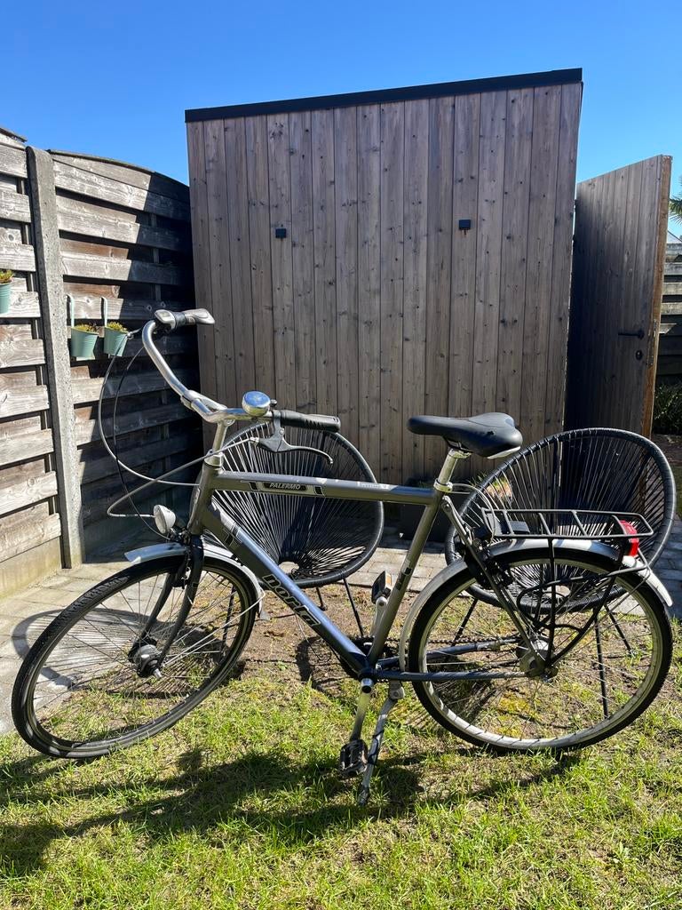 Norta Palermo, Gebruikt, Velgrem, Versnellingen, 57 tot 61 cm