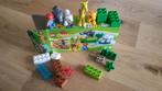 Baby Zoo - Duplo #4962 (2014), Enfants & Bébés, Jouets | Duplo & Lego, Enlèvement, Utilisé, Ensemble complet, Duplo