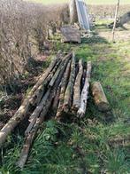 Gratis hout, Enlèvement