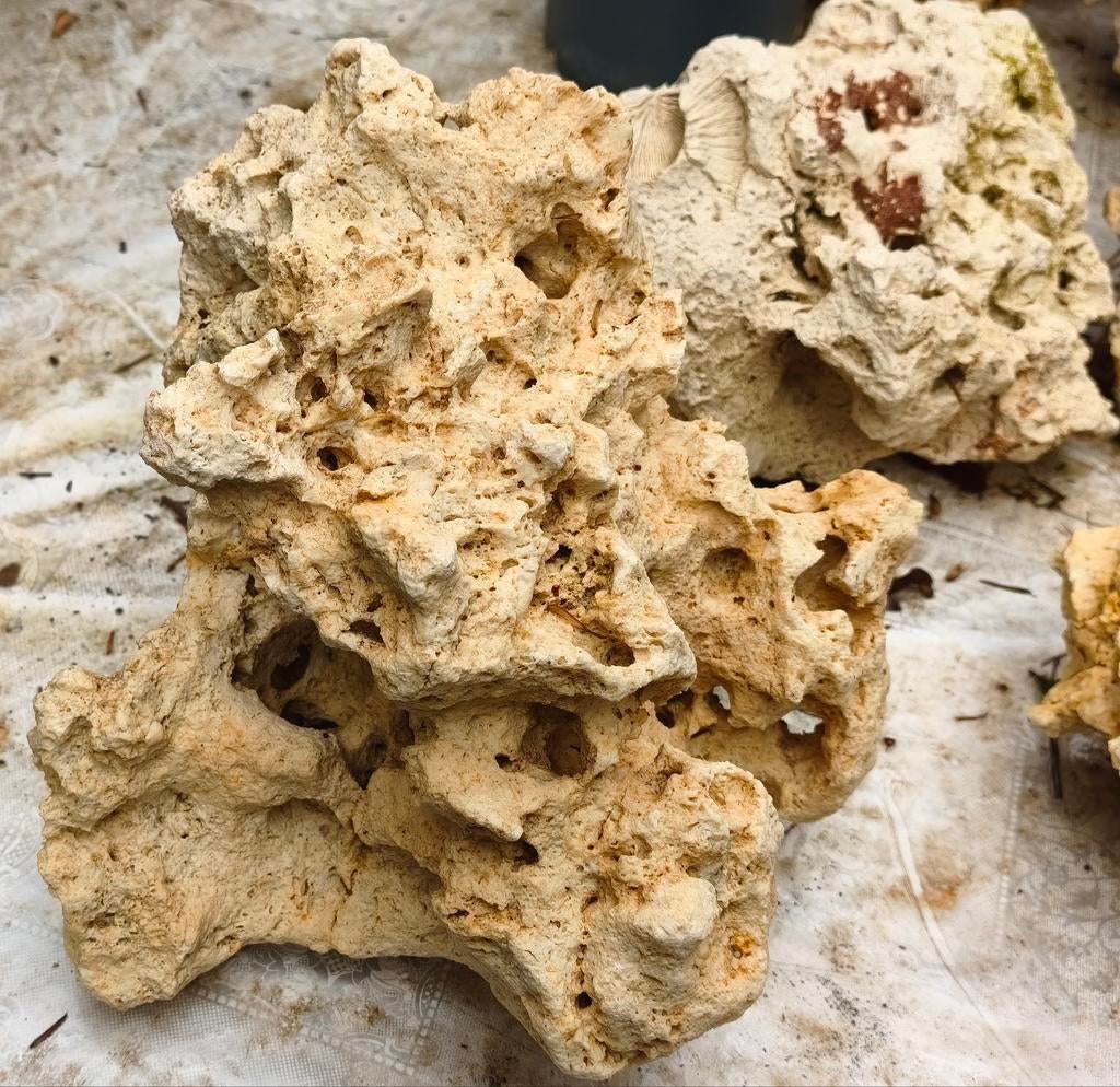 Aquarium stenen, Animaux & Accessoires