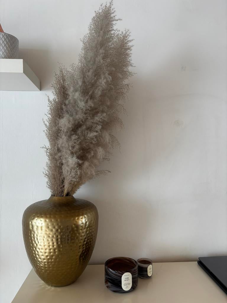 Gouden vaas met pampas, Ophalen, Zo goed als nieuw