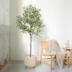 Action Kunst Olijfboom 175 cm hoog, Tuin en Terras, Ophalen