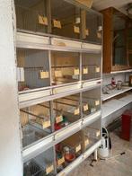 Gratis vogelkooien, Dieren en Toebehoren, Ophalen, Zo goed als nieuw