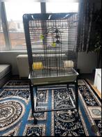 Cage pour oiseaux ou perroquets
