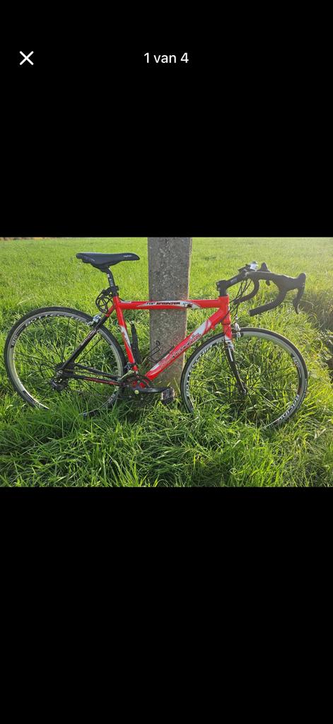 Koersfiets, Enlèvement, Comme neuf