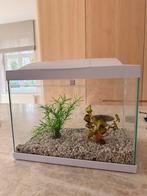 Aquarium SuperFish, Dieren en Toebehoren, Ophalen, Zo goed als nieuw