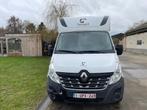 Paarden camionet Renault theault, Dieren en Toebehoren, Ophalen, Gebruikt, Polyester, 2-paards trailer