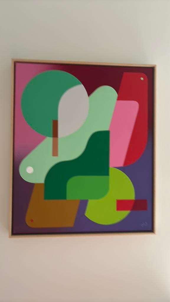 Oli B uniek kunstwerk 50x60cm ingekaderd, Ophalen of Verzenden