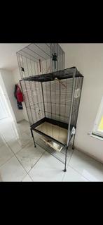 Cages et volière pour canaris à vendre, Enlèvement, Comme neuf, Volière