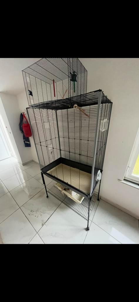 Cages et volière pour canaris à vendre, Dieren en Toebehoren, Vogels | Hokken en Kooien, Zo goed als nieuw, Volière, Ophalen