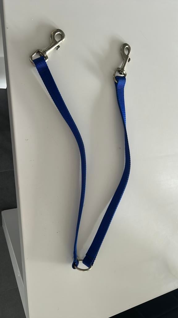 Hondenriem, Dieren en Toebehoren, Ophalen, Zo goed als nieuw, Hondenriem