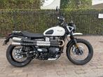 Triumph Scrambler 900, 2 cilinders, Motorrijbewijs A, Bedrijf, Meer dan 35 kW