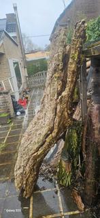 De Cork Bark Bourse Prize gaat snel weg!, Dieren en Toebehoren, Ophalen of Verzenden