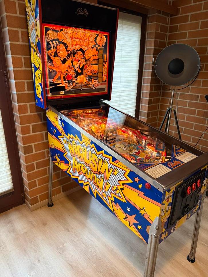 Flipper Mousing Around, Verzamelen, Automaten | Flipperkasten, Gebruikt, Elektronisch, Flipperkast, Bally, Ophalen