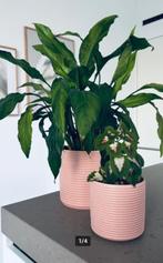 2 bloempotten roze keramiek h&m home, Tuin en Terras, Ophalen, Rond, Binnen, Zo goed als nieuw