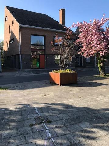 Huis te koop in Willebroek beschikbaar voor biedingen