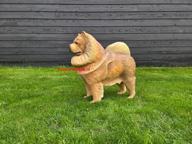 Chow-Chow ...  + diverse honden rassen, Tuin en Terras, Tuinbeelden, Ophalen