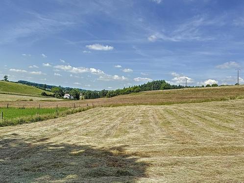 Terrain à vendre à Houffalize, Immo, Gronden en Bouwgronden, 1000 tot 1500 m²