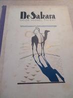 De Sahara, Antiek en Kunst, Ophalen, Michel Thiery