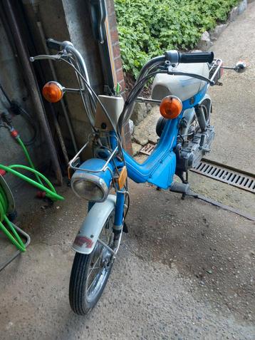 Suzie fa 50, Enlèvement