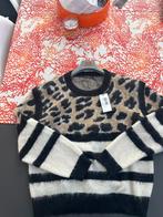 Nieuwe trui guess maat xl, Kleding | Dames, Ophalen of Verzenden, Nieuw, Maat 46/48 (XL) of groter