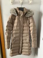 Tommy Hilfiger donsjas - maat XS - nieuw, Vêtements | Femmes, Vestes | Hiver, Tommy hilfiger, Enlèvement ou Envoi, Neuf, Taille 34 (XS) ou plus petite