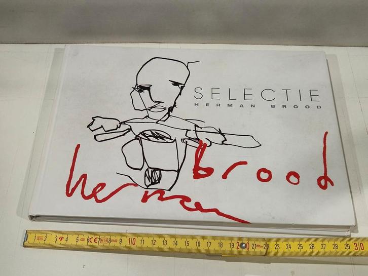 Herman brood,  Toen zag ik mezelf . Zeldzaam Collectorsitem, Livres, Art & Culture | Photographie & Design, Utilisé, Enlèvement ou Envoi