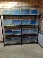 Kweekrek te koop, Dieren en Toebehoren, Vissen | Aquaria en Toebehoren, Ophalen, Gebruikt, Leeg aquarium