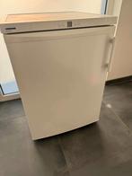 Congélateur haut de gamme Liebherr, Congélateur, Comme neuf, Enlèvement, 60 à 90 cm