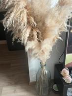 Vase avec toutes les pampas décoration., Ophalen of Verzenden, Zo goed als nieuw