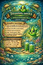 Tettraselmis suecica plankton