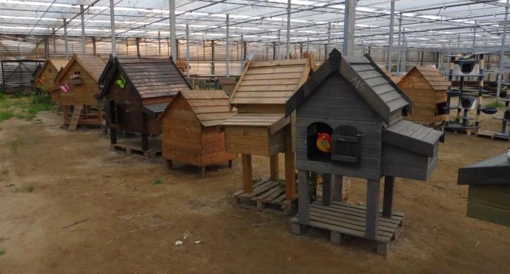 KIPPEN HOK NIEUW ZONDAG, Dieren en Toebehoren, Pluimvee | Toebehoren, Ophalen of Verzenden