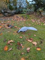 Paar zilveren fazantenringen 2025, Dieren en Toebehoren, Vogels | Overige Vogels, Meerdere dieren, Geringd