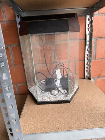 aquarium 30l beschikbaar voor biedingen