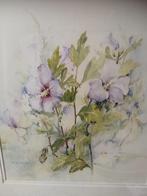Aquarel hibiscus in lijst, Antiquités & Art, Art | Peinture | Moderne, Enlèvement
