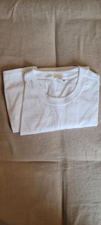 basic T-shirt wit, Kleding | Dames, Wit, Maat 46/48 (XL) of groter, Nieuw, Fruit of the loom