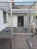 Kattenren