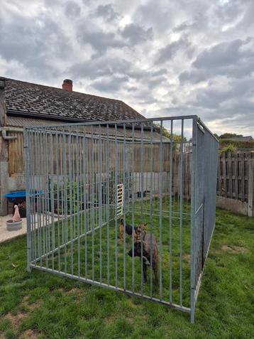 Ren voor honden (metaal). beschikbaar voor biedingen