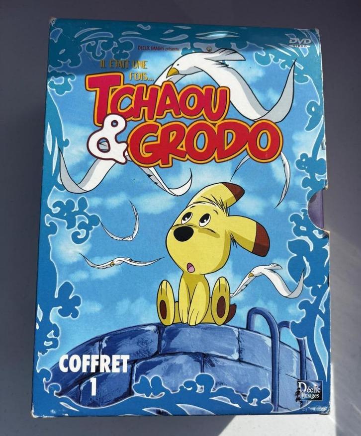 Coffret de 6 DVD - TCHAOU et GRODO pour enfants, Cd's en Dvd's, Dvd's | Kinderen en Jeugd, Zo goed als nieuw, Avontuur, Boxset