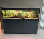 Aquarium 2mx0,4mx0,6m, Dieren en Toebehoren, Ophalen, Zo goed als nieuw, Gevuld zoetwateraquarium