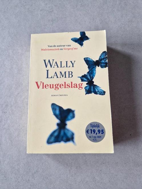 Vleugelslag - Wally Lamb, Boeken, Romans, Gelezen, Amerika, Ophalen of Verzenden