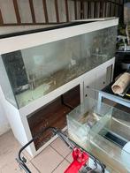 Aquarium 600 litres, Dieren en Toebehoren, Ophalen, Gebruikt, Leeg aquarium