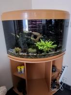 Aquarium, Animaux & Accessoires, Enlèvement, Utilisé