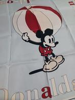 Foulards, Kleding | Dames, Mutsen, Sjaals en Handschoenen, Ophalen