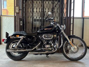 Harley-Davidson SPORTSTER XL1200C CUSTOM (bj 2009) beschikbaar voor biedingen