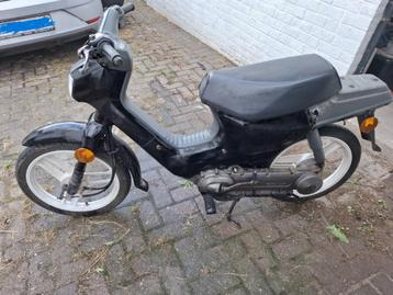 honda wallaroo b klasse, Autres modèles, Classe B (45 km/h), Enlèvement, Utilisé